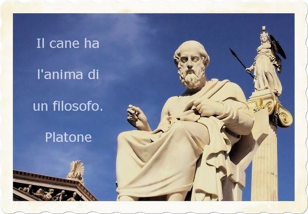 I mitici aforismi di Platone