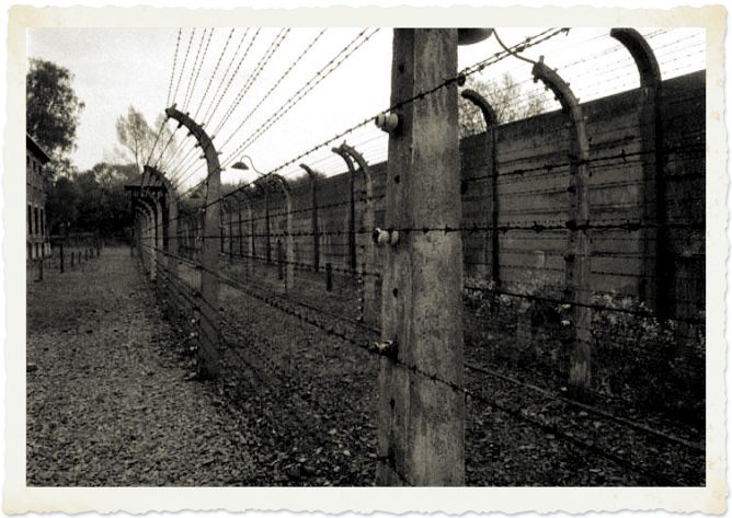 Mostra su Auschwitz