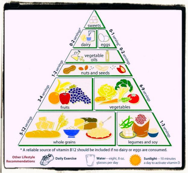 La piramide alimentare vegetale
